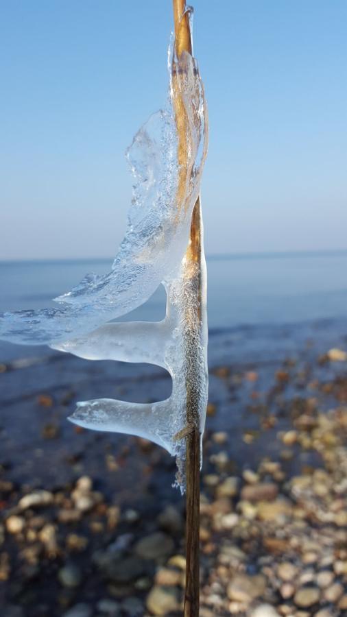 Hotel Alt Wittower Krug Wiek auf Rügen Exteriör bild